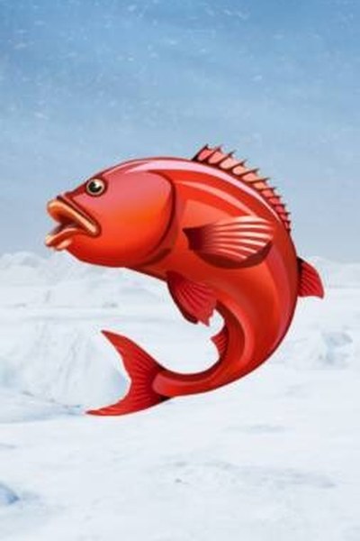 Ice Fishing su Magneticslots Casino